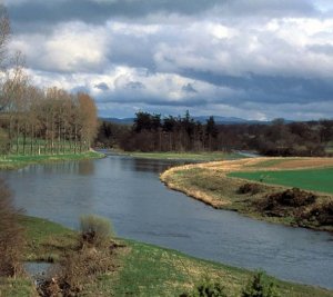 River_Tweed_from_Mertoun_House