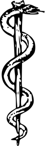 251px-Rod_of_Asclepius2.svg